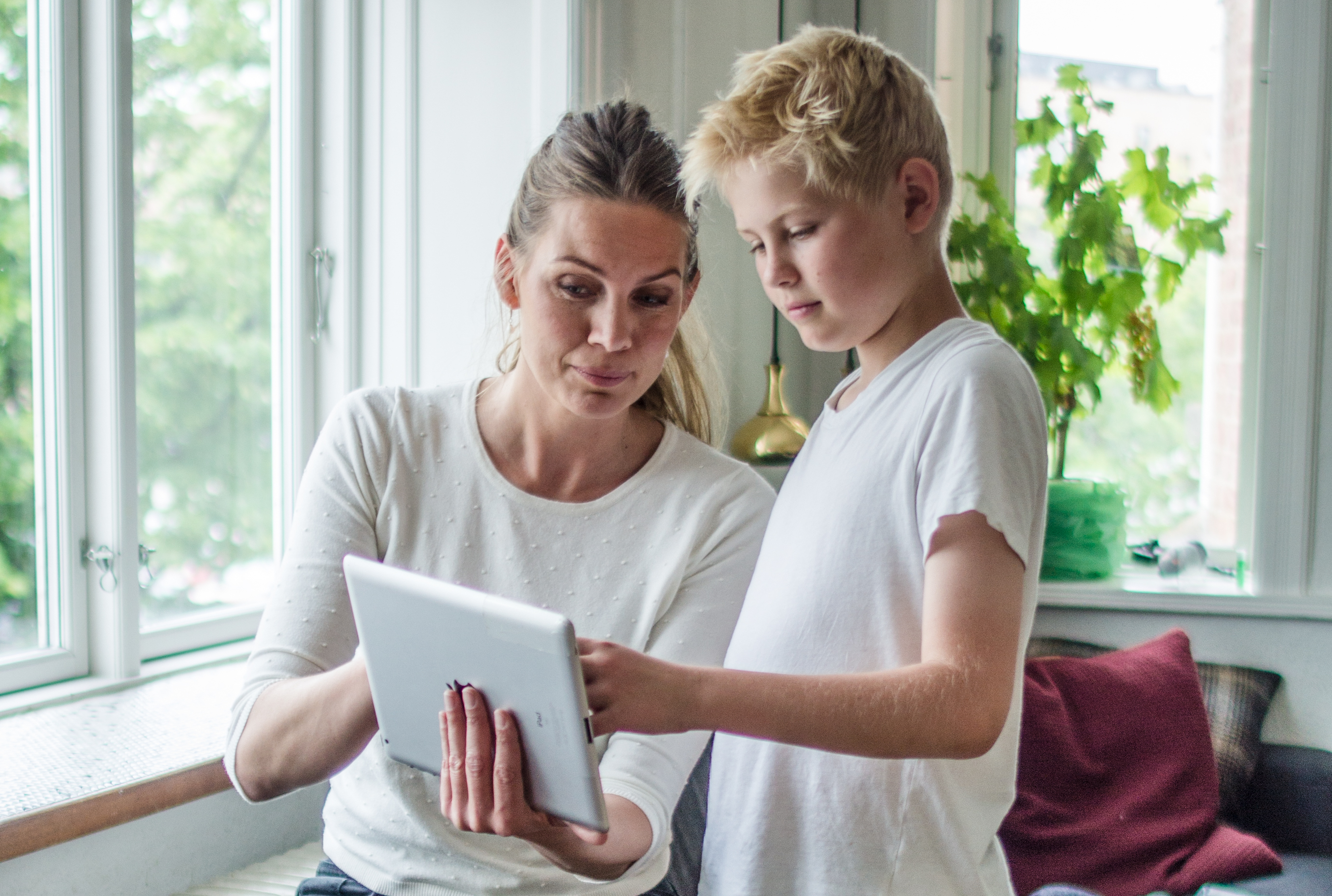 Vereins App erstellen kostenlos Vereins App erstellen kostenlos
