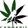 Teamcannabis