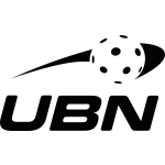 Logo%20bnii
